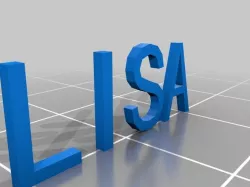 My Customized Dual Extrusion Box( words)