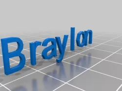 My Customized Dual Extrusion Box( words)