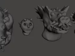 Random heads