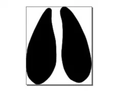 Reindeer footprint