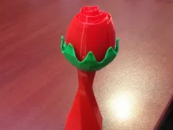 Rose Bud
