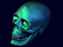 skull