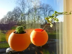 Spherical Window Micro Planter