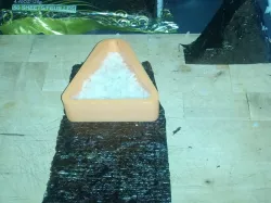 SUSHI ONIGIRI MAKER