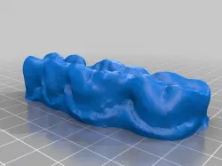 Teeth