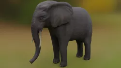 African Elephant Low-poly  3D model
