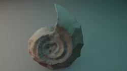 ancient petrified shell 3D model