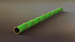 Bamboo