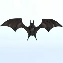 Bat Mammal Bird Low-poly  3D model