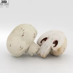 Champignon 3D model