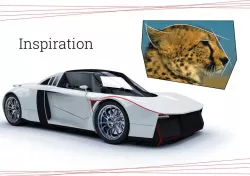 Cheetah
