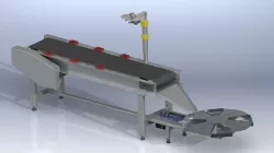 Conveyor Sorting System