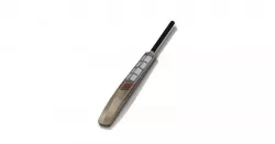 Cricket Bat 