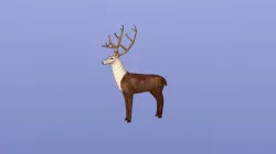 Deer low-poly Low-poly  3D model
