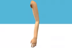 Female Arm Rig Low-poly  3D model