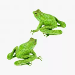 Frog Green 3D model