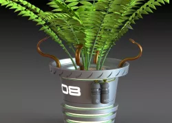 Future fern