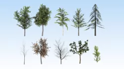 Game-ready trees pack Low-poly  3D model