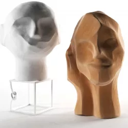 Head Sculptures 2 3D model