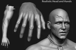 human anatomy Head and hands only 3D model