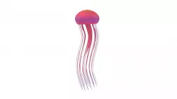 Jellyfish 3D model