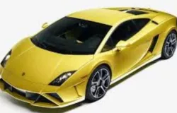  Lamborghini 2011and 2010
