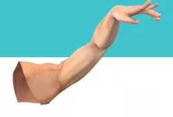 Male Arm Rig Low-poly  3D model
