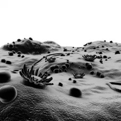 Microscopic Environment 3D model