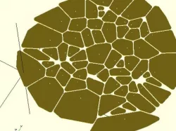 OpenSCAD Voronoi Generator
