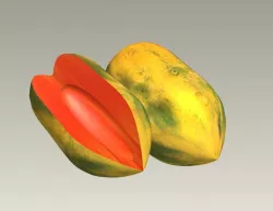 Papaya