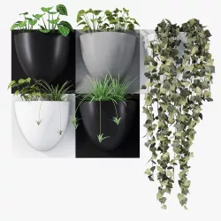Plants 3D model