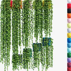 Plants two 3D model