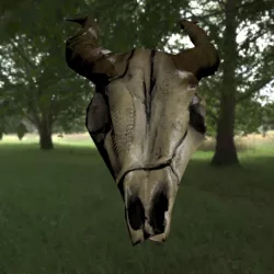 Ram skull Low-poly  3D model