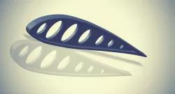 Rib