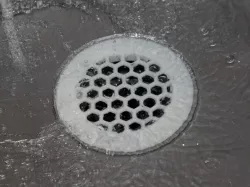 Sink Screen