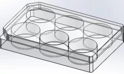 Six (6) Well Culture Plate