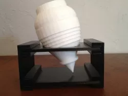 Spin Top