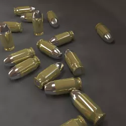 The Bullets 3D model