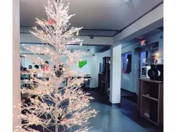 3D Printed Christmas Tree