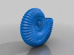 Ammonite
