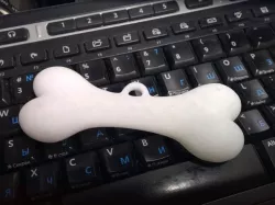 bone