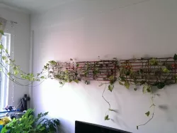 Bracket to Re-purpose Shoe Rack to Plant Trellis