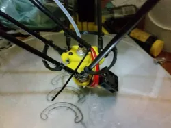 Delta Arms Antibacklash