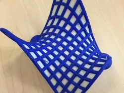 Monkey Saddle Dual