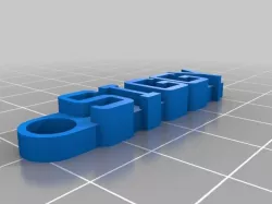 SIGGY Keychain