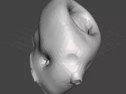 Skull Container