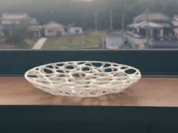 Voronoi dish