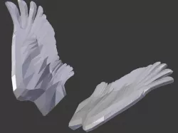 Wings