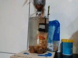 2 Litter Bottle Aquaponics (Growing Plants With Gold Fish)