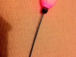Colour changing valentines day rose